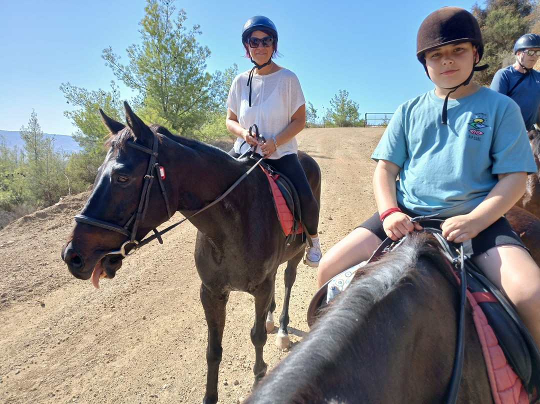 Maria's Horse Trekking-Lysos必去景点