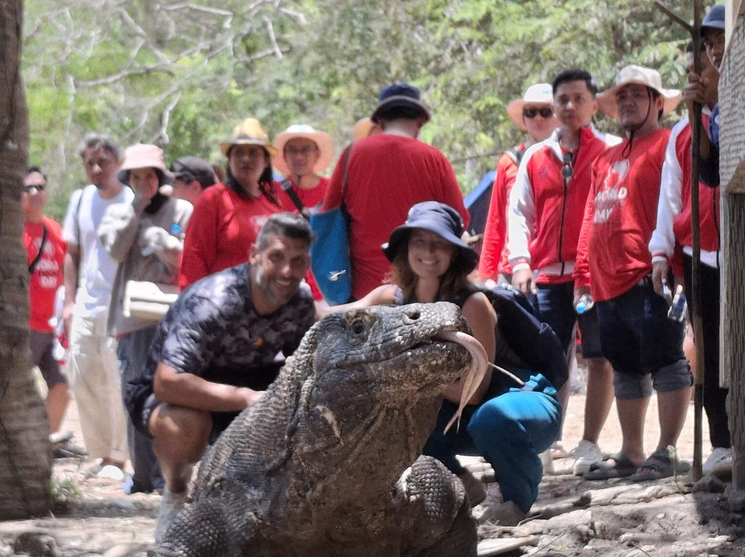 East Cruise Komodo-Labuan Bajo必去景点