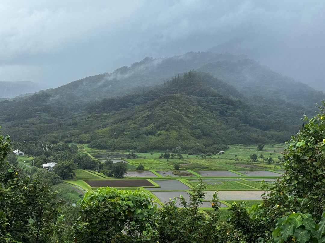 Hanalei Valley Lookout-普林斯维尔必去景点
