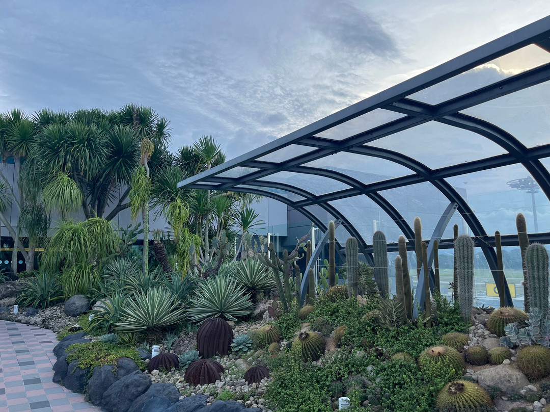 Cactus Garden-新加坡必去景点