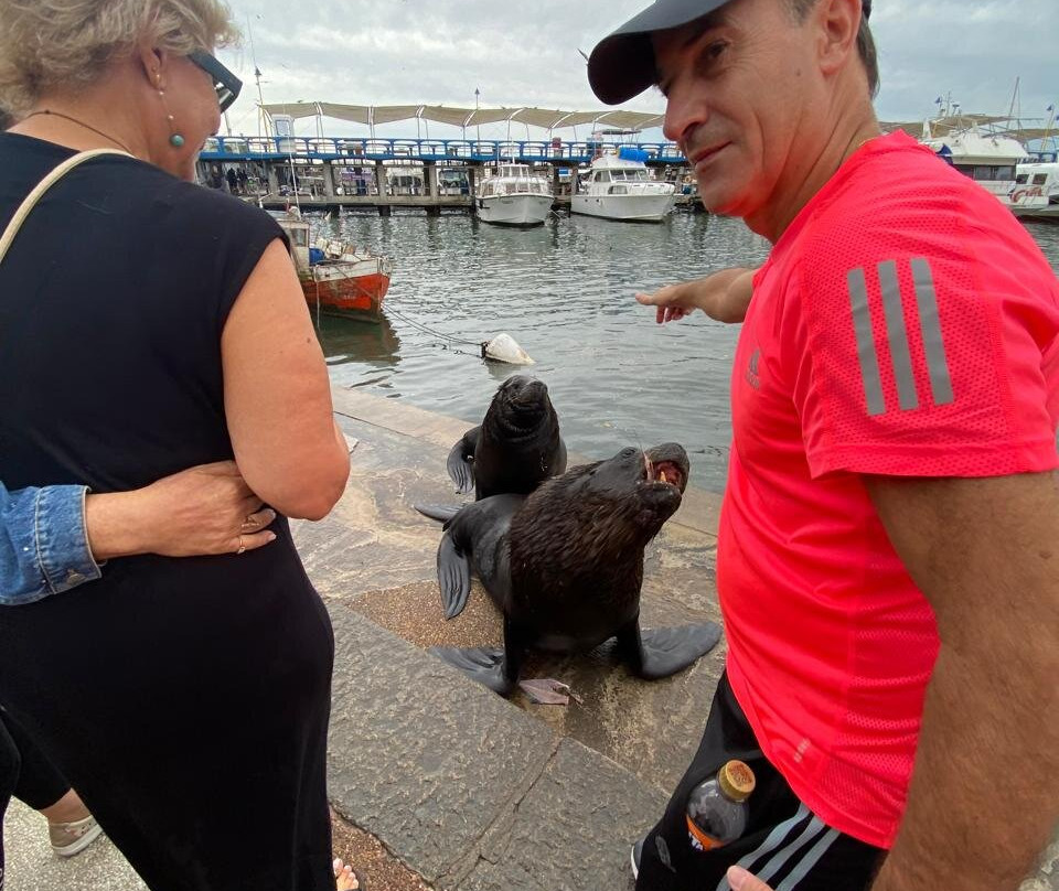 波多黎各德埃斯特角城-埃斯特角城必去景点