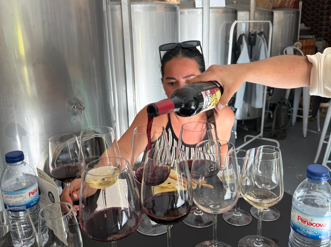 Gueda Wines-佩苏达雷瓜必去景点