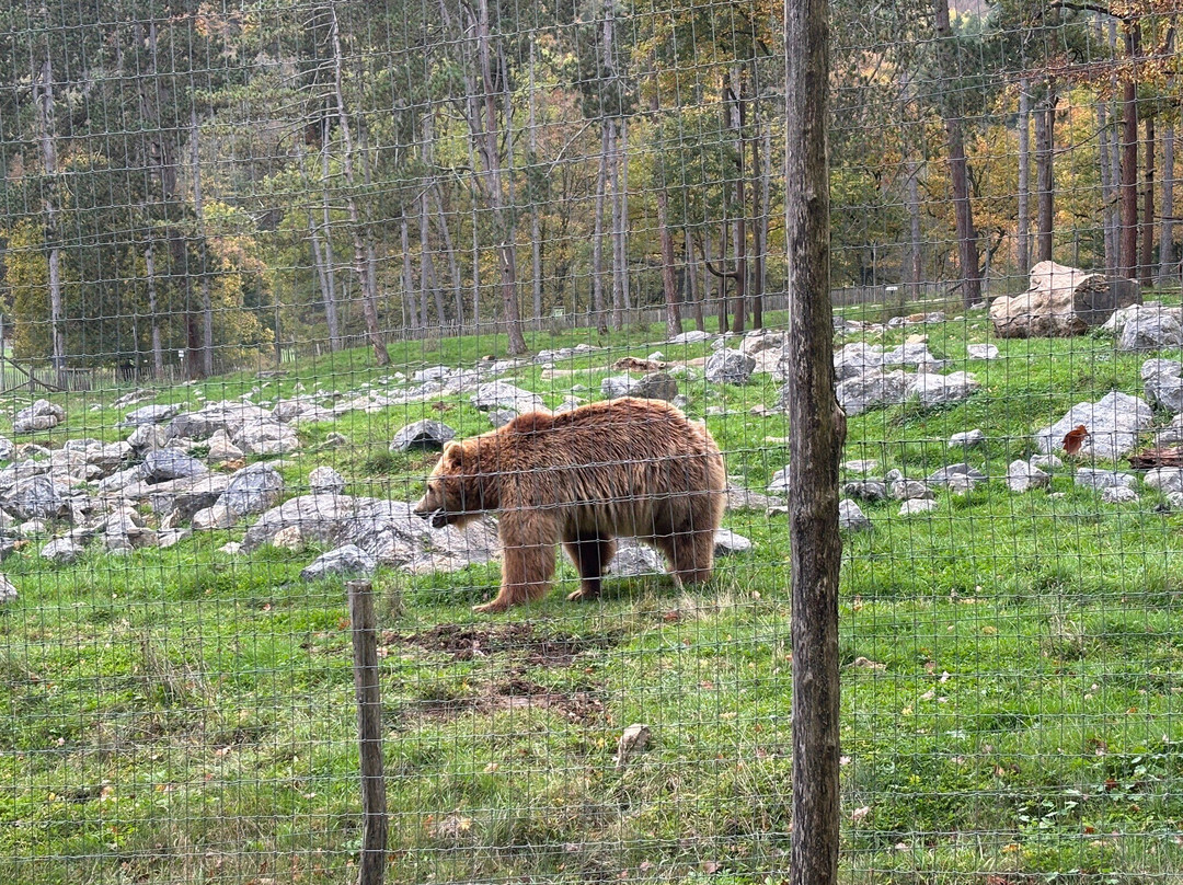 Domaine Des Grottes De Han-Han-sur-Lesse必去景点