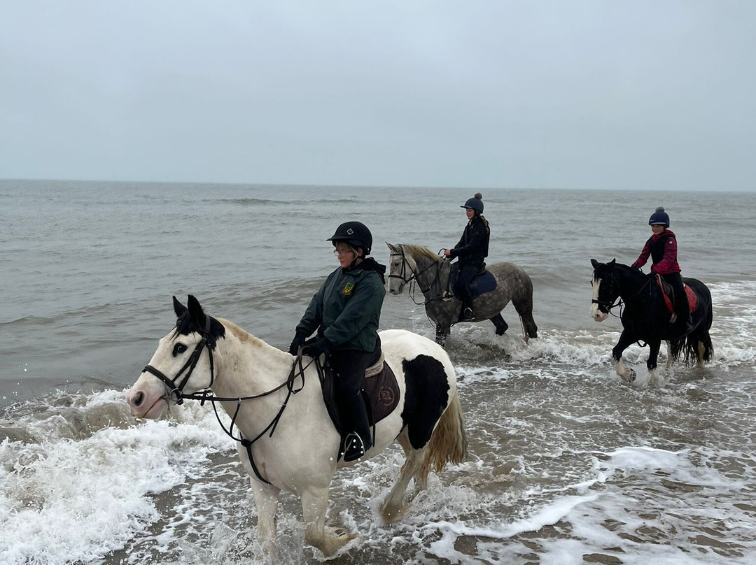 Shrule Equestrian Centre-Gorey必去景点