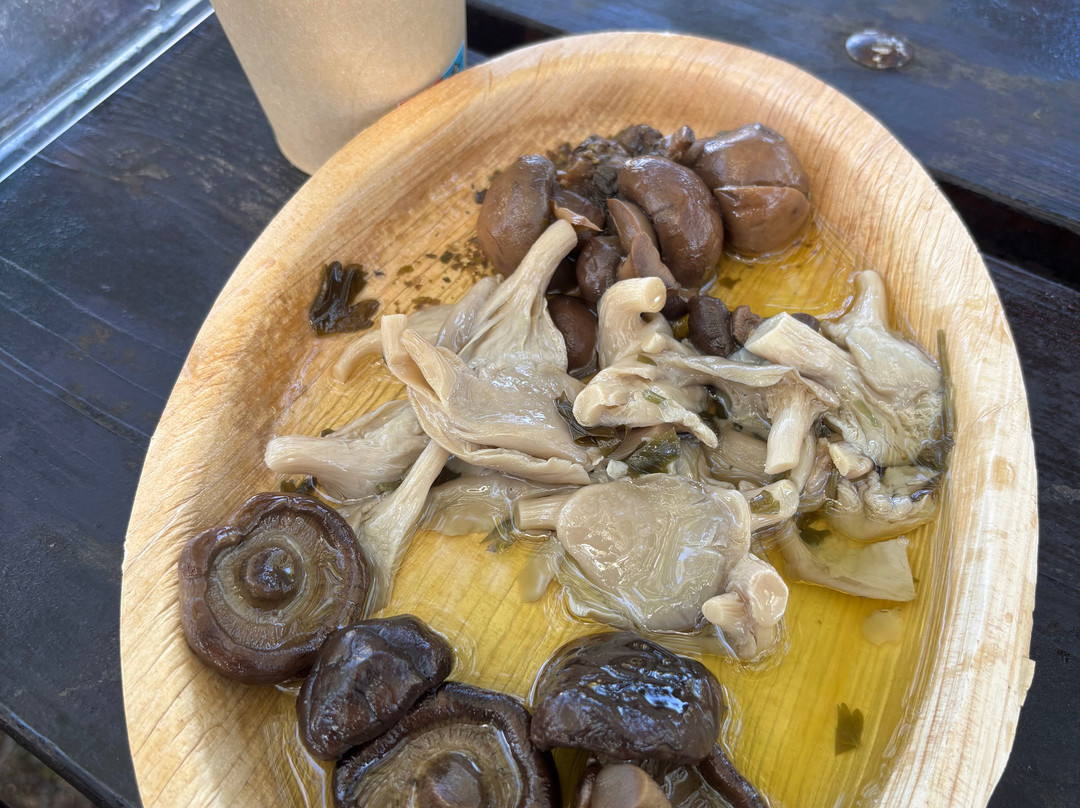 Truffle Hunting-卡兰巴卡必去景点