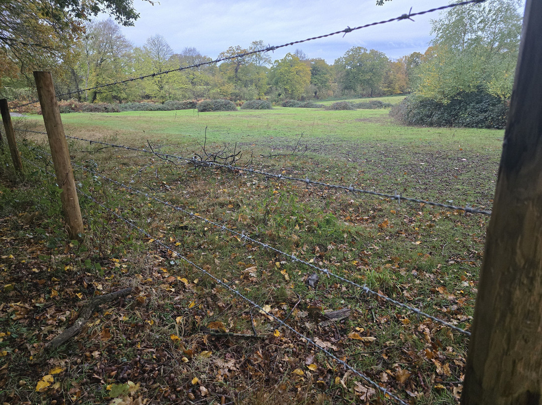Weald Country Park-布伦特伍德必去景点