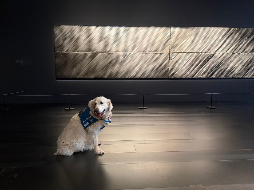 Musee Soulages Rodez-罗德兹必去景点