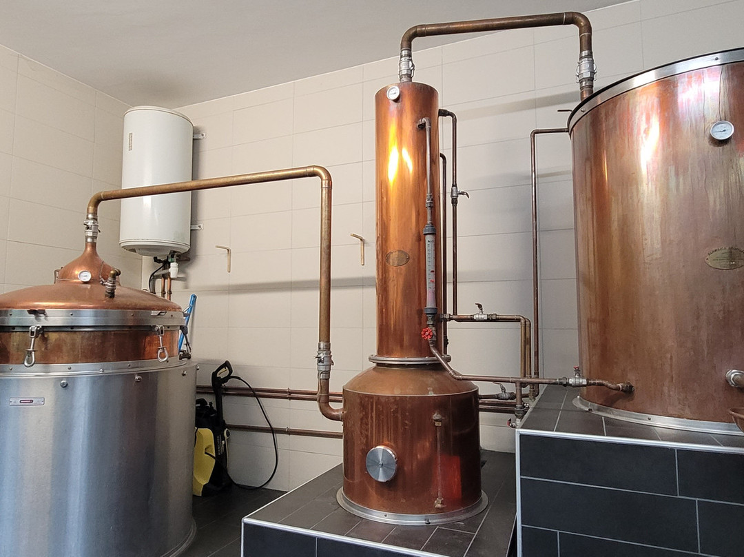 Twelve, Distillerie De Laguiole-拉奇欧勒必去景点