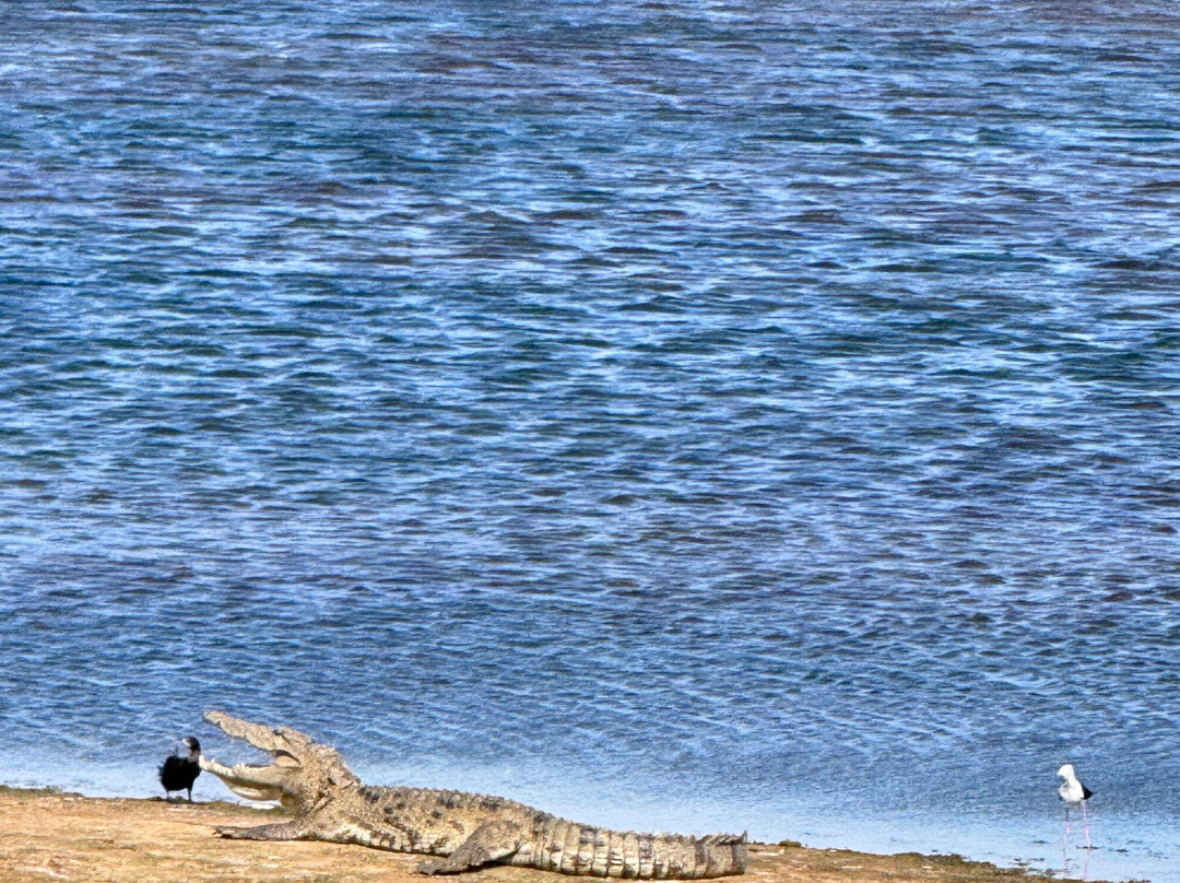 FineLankaTours-科伦坡必去景点