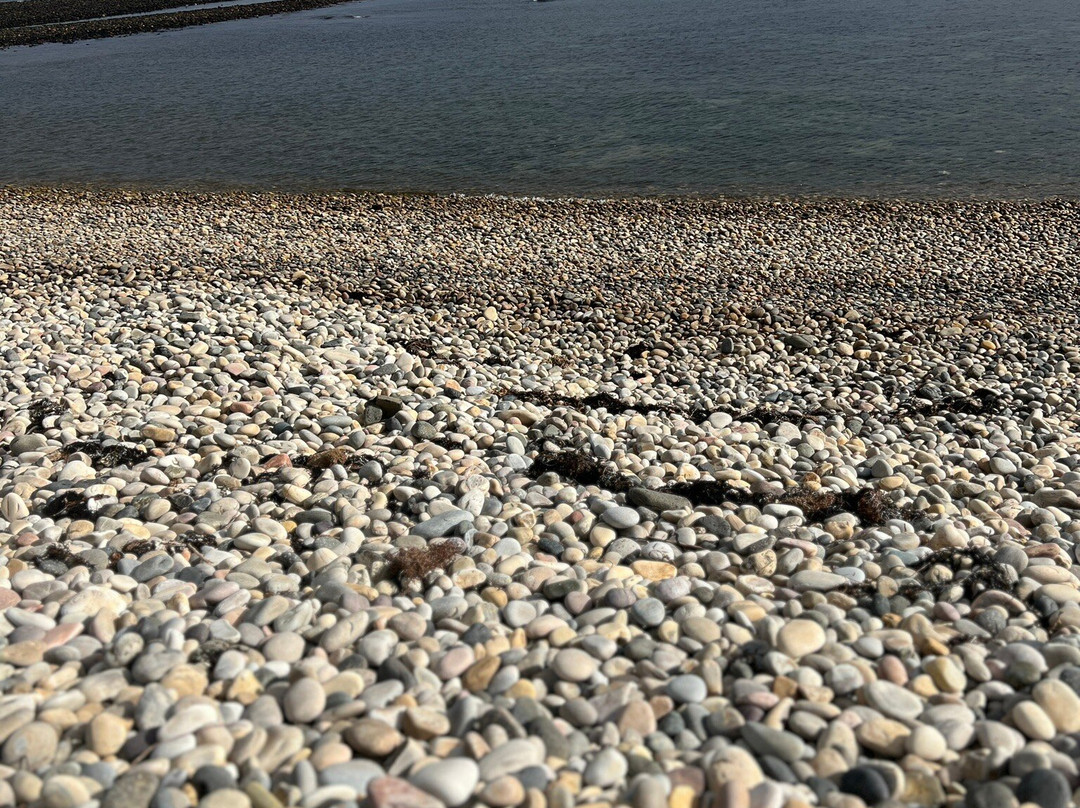 Lillico Beach Conservation Area-Lillico必去景点