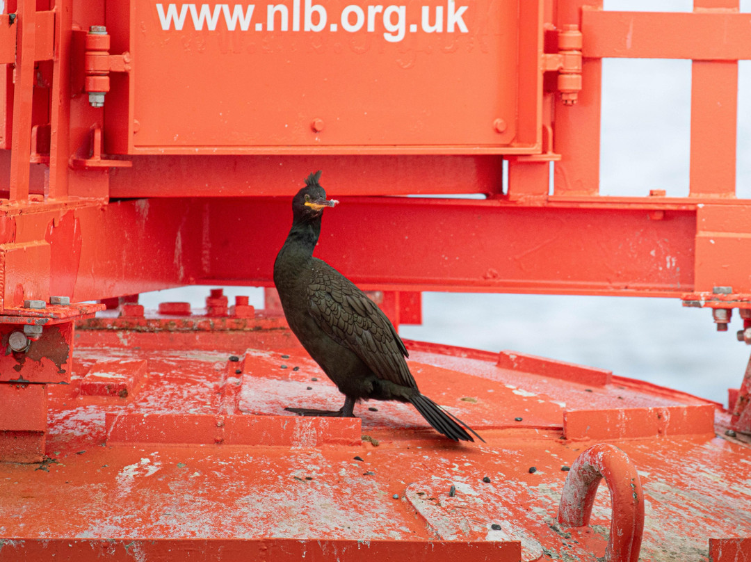 Seaprobe Atlantis-Kyle of Lochalsh必去景点