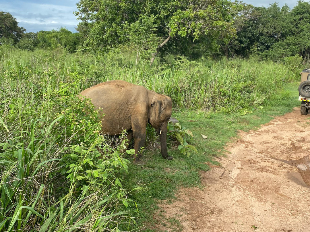 Wonder Sri Lanka Tours-卡图纳耶克必去景点