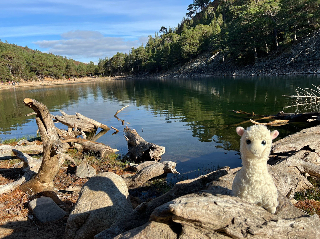 An Lochan Uaine-阿维莫尔必去景点