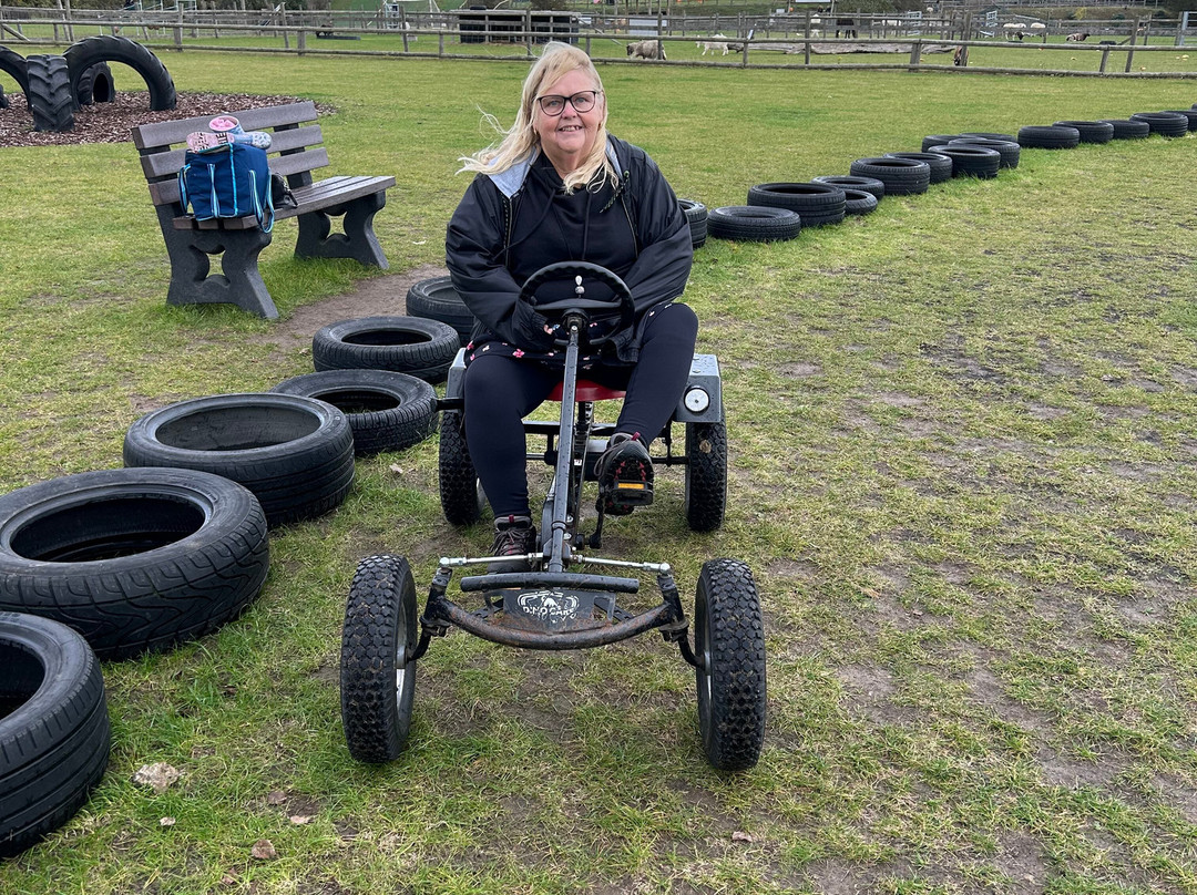 Hasty's Adventure Farm-滨海克拉克顿必去景点