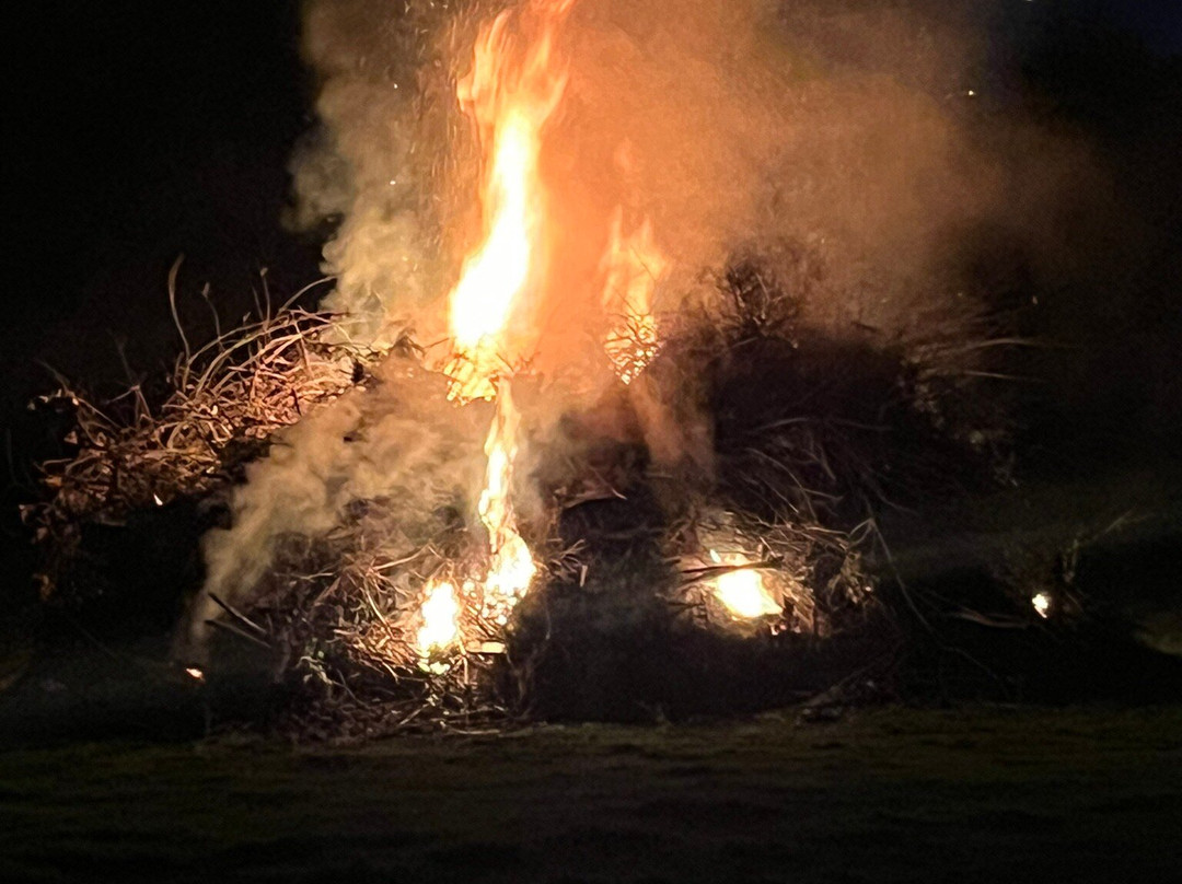 Norwood Park Country House主图