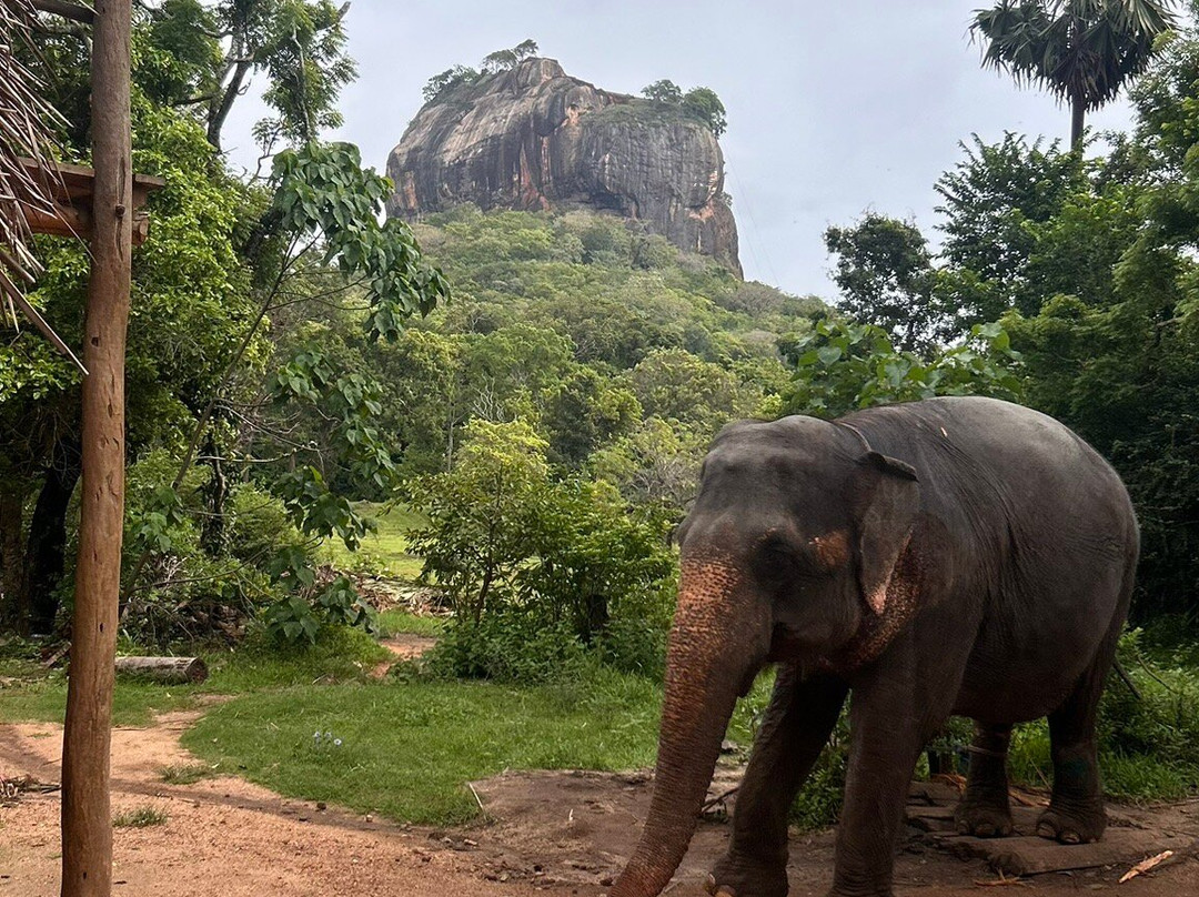 Vilan Tours Srilanka-尼甘布必去景点