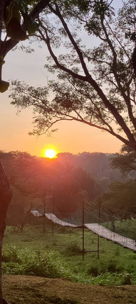 Sambiya River Lodge-官方