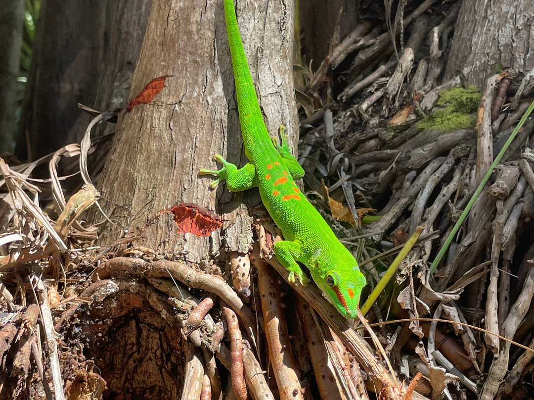 South Adventure Experience Ltd-钱米格兰尼尔必去景点