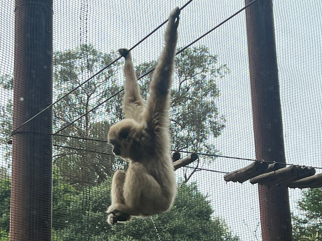 Johannesburg Zoo-约翰内斯堡必去景点