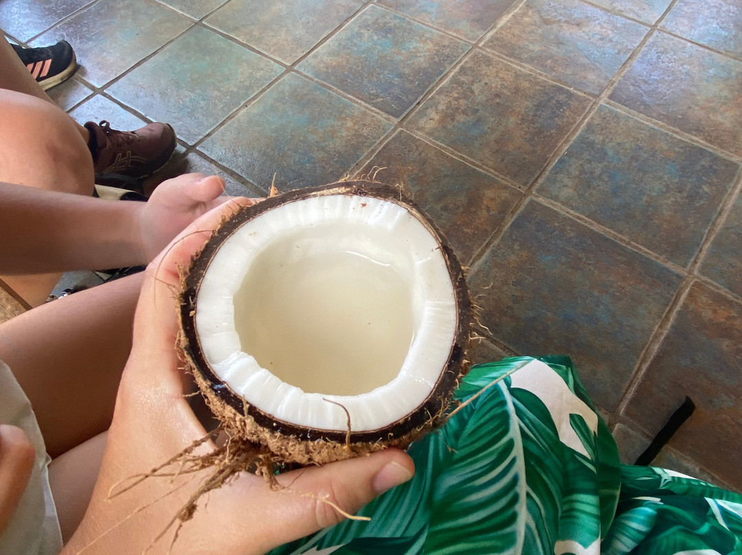 La Maison du Coco-圣亮必去景点