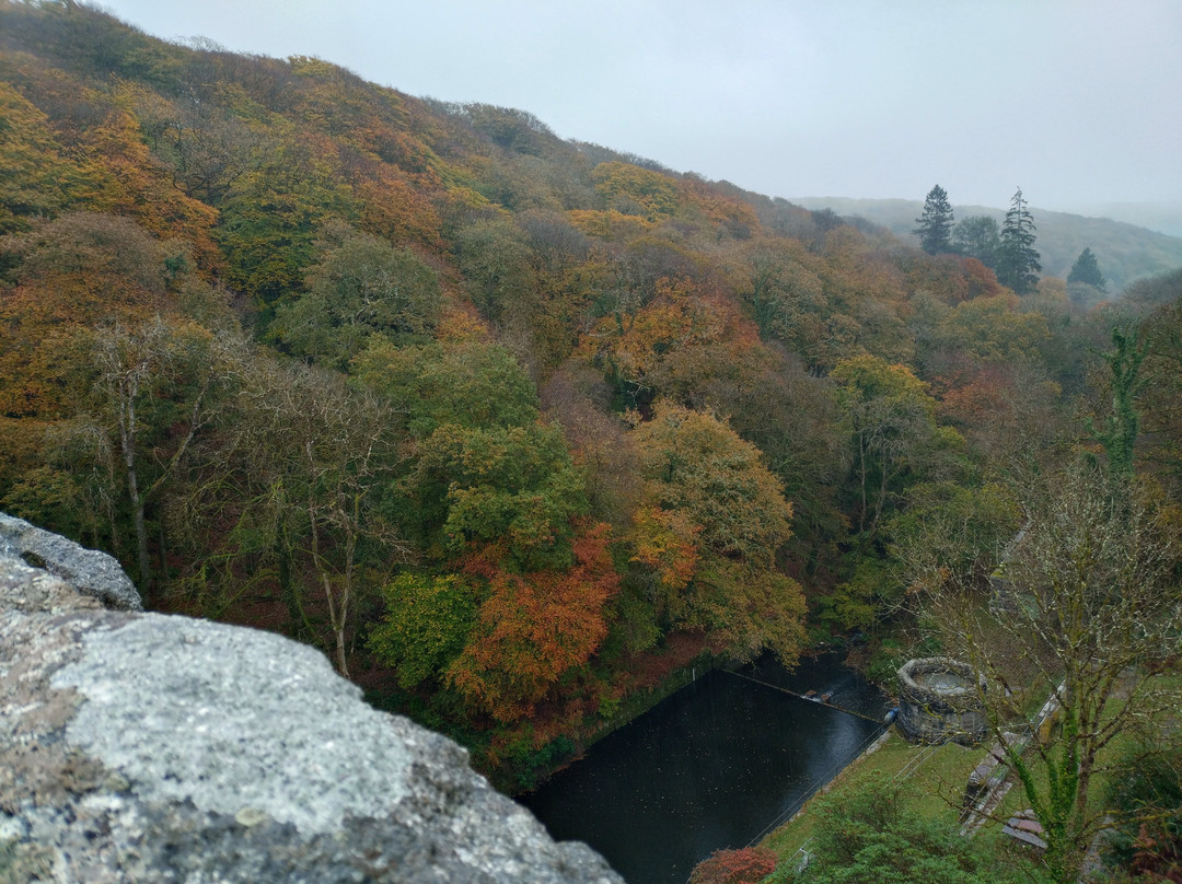 Burrator Reservoir-Yelverton必去景点