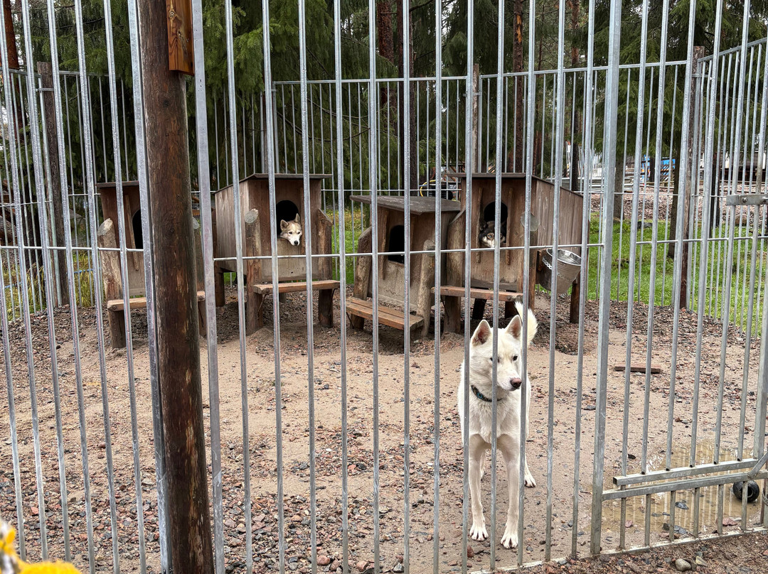 Arctic Circle Husky Park-罗瓦涅米必去景点