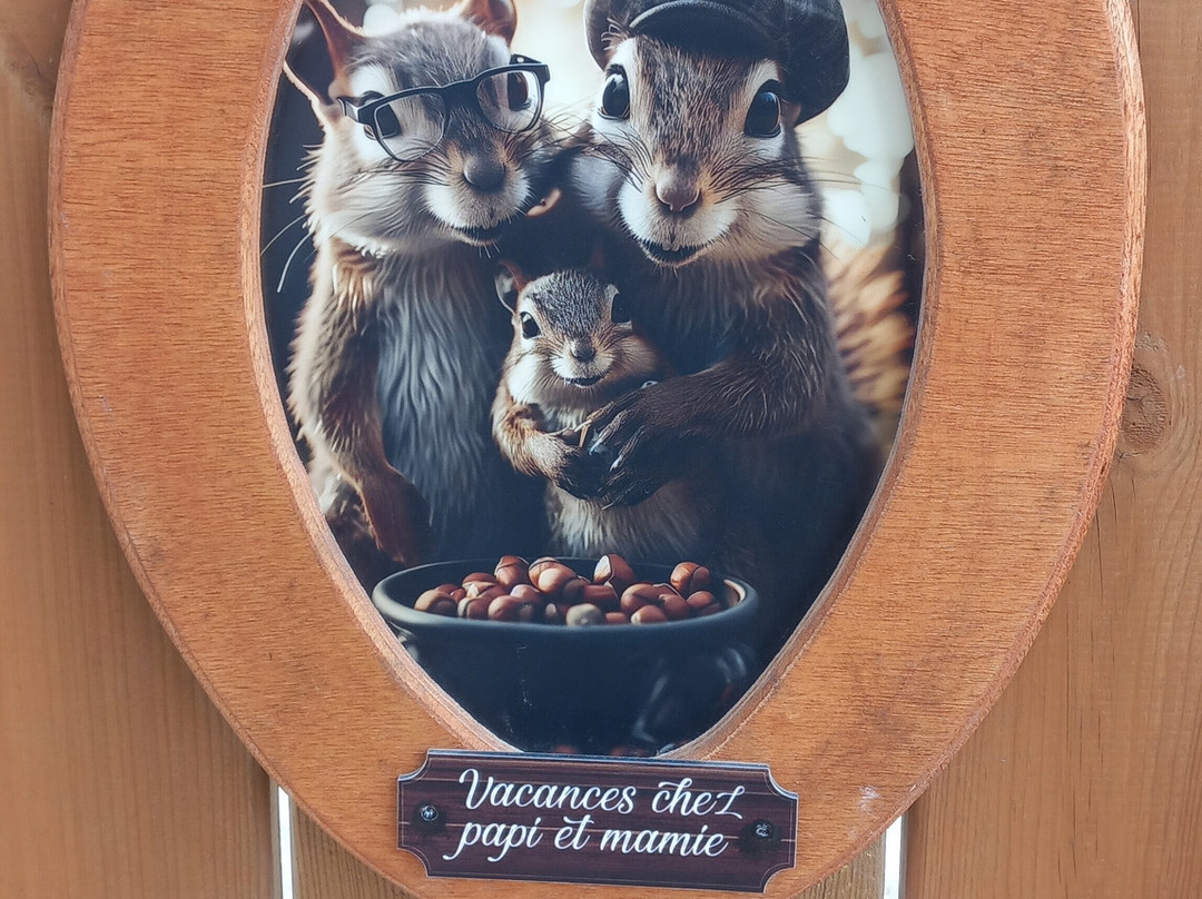 昂热植物园-昂热必去景点