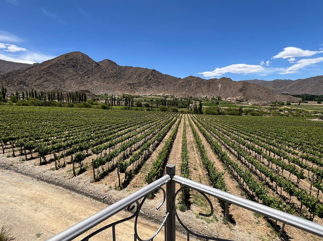 Bodega Puna-卡奇必去景点