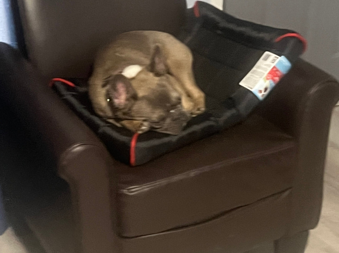 Travelodge by Wyndham Las Vegas NM主图