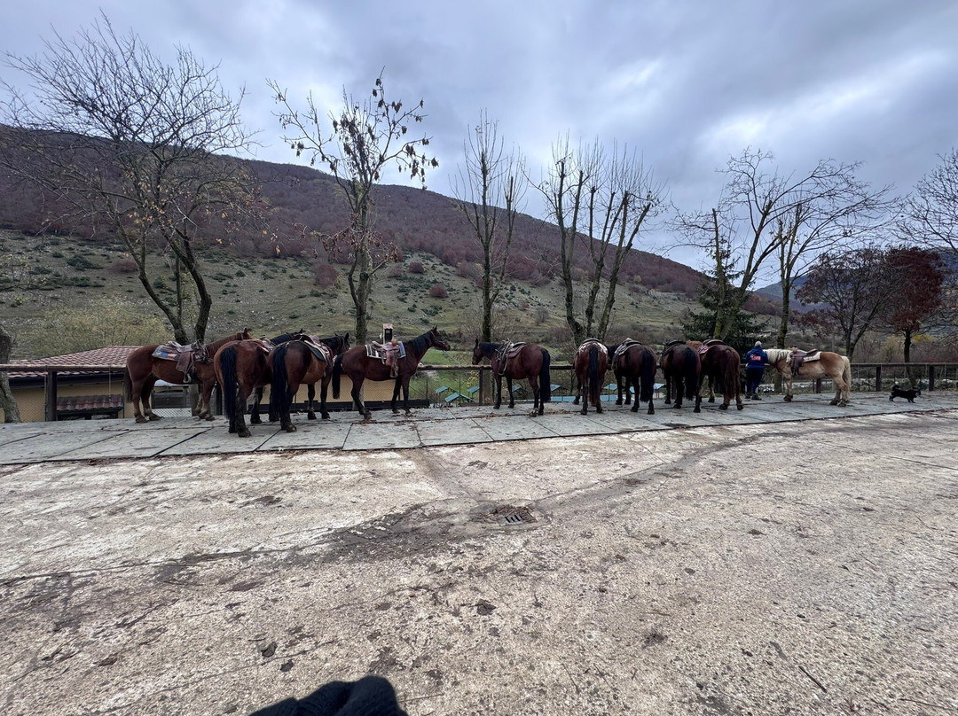 Il Ranch - Maneggio-Scanno必去景点