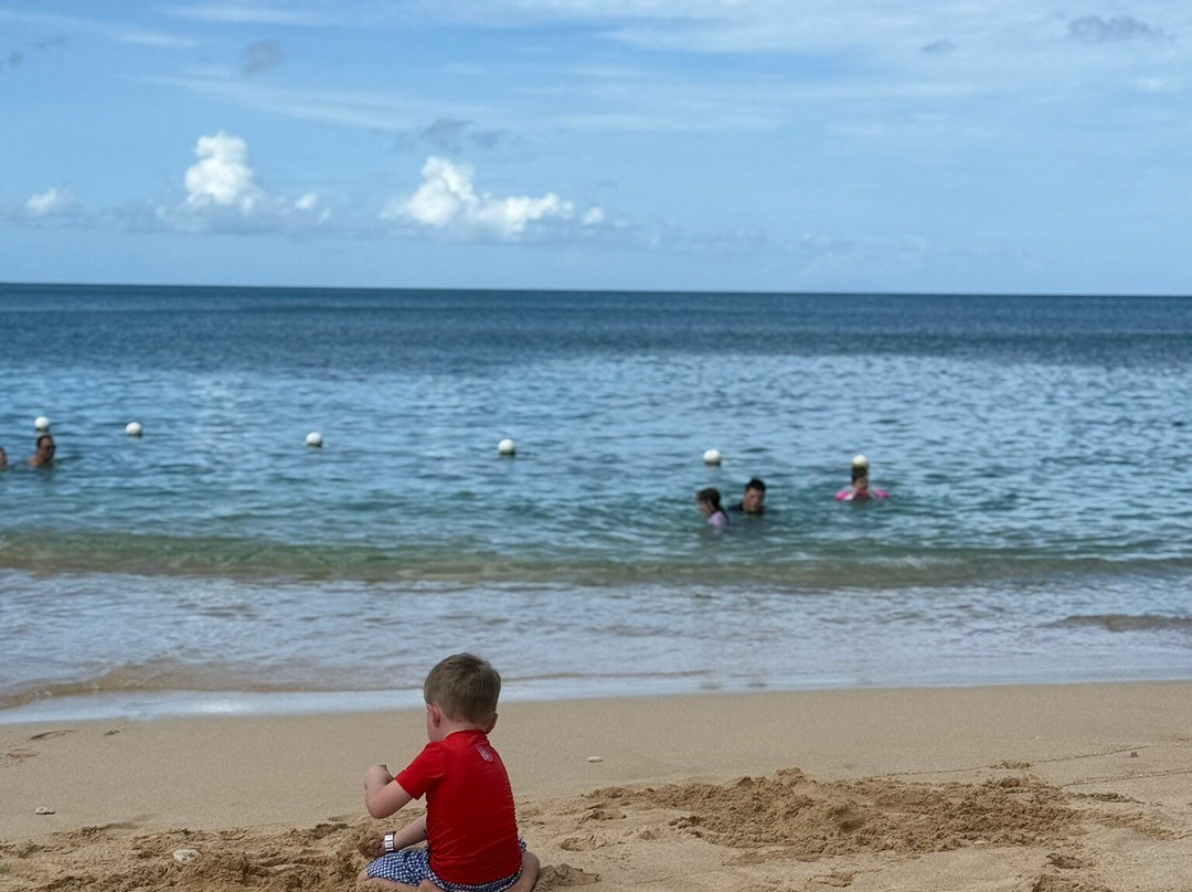 Hawksbill Bay-安提瓜必去景点