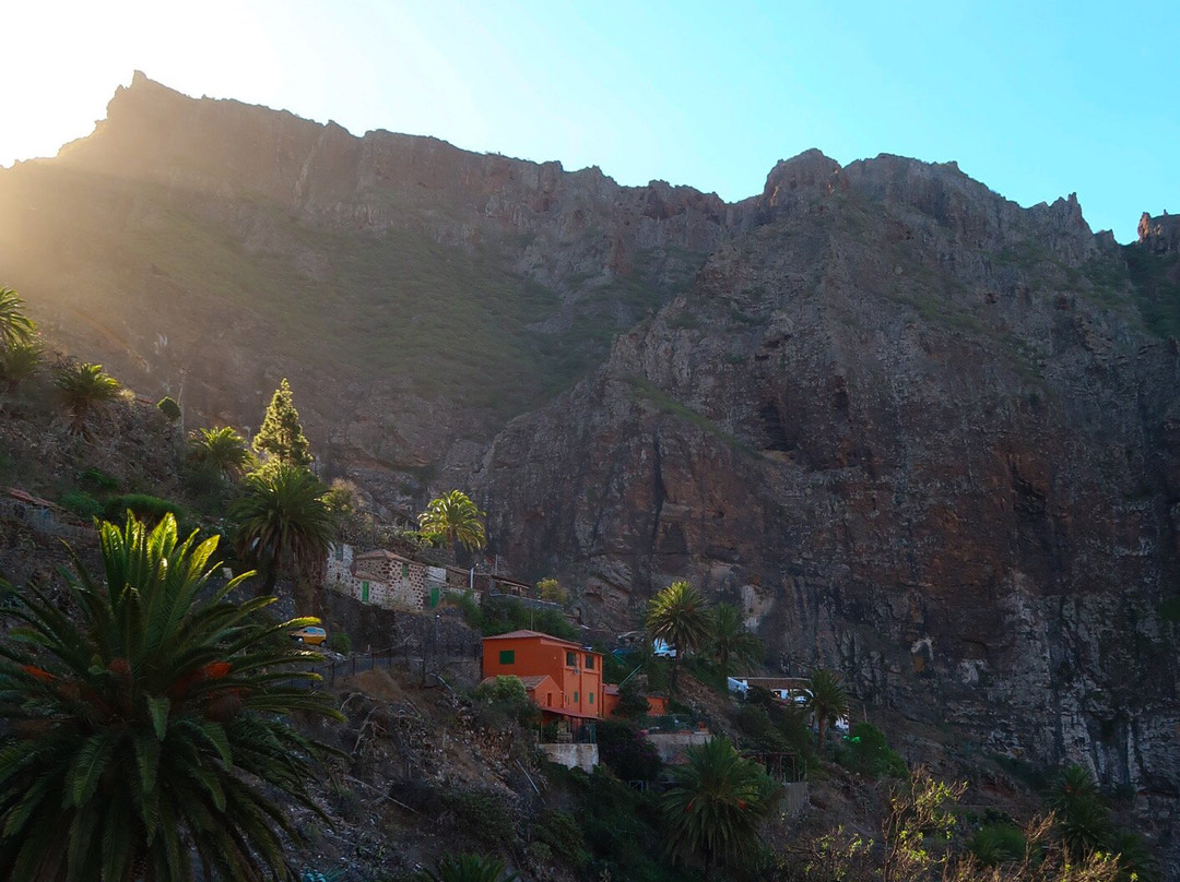 Adventures Tenerife-La Esperanza必去景点