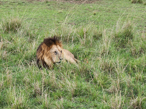 Camptrek Safaris LTD-内罗毕必去景点