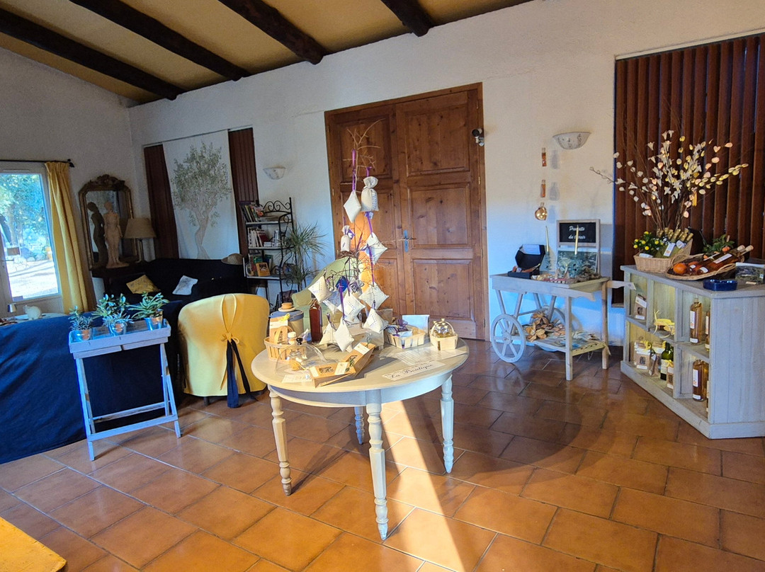 老妇人巴斯蒂德酒店主图