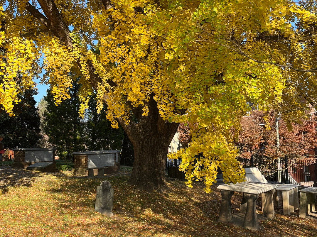 圣公会圣约翰座堂-里士满必去景点