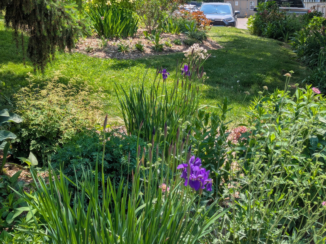 Cambridge Sculpture Garden-坎布里奇必去景点