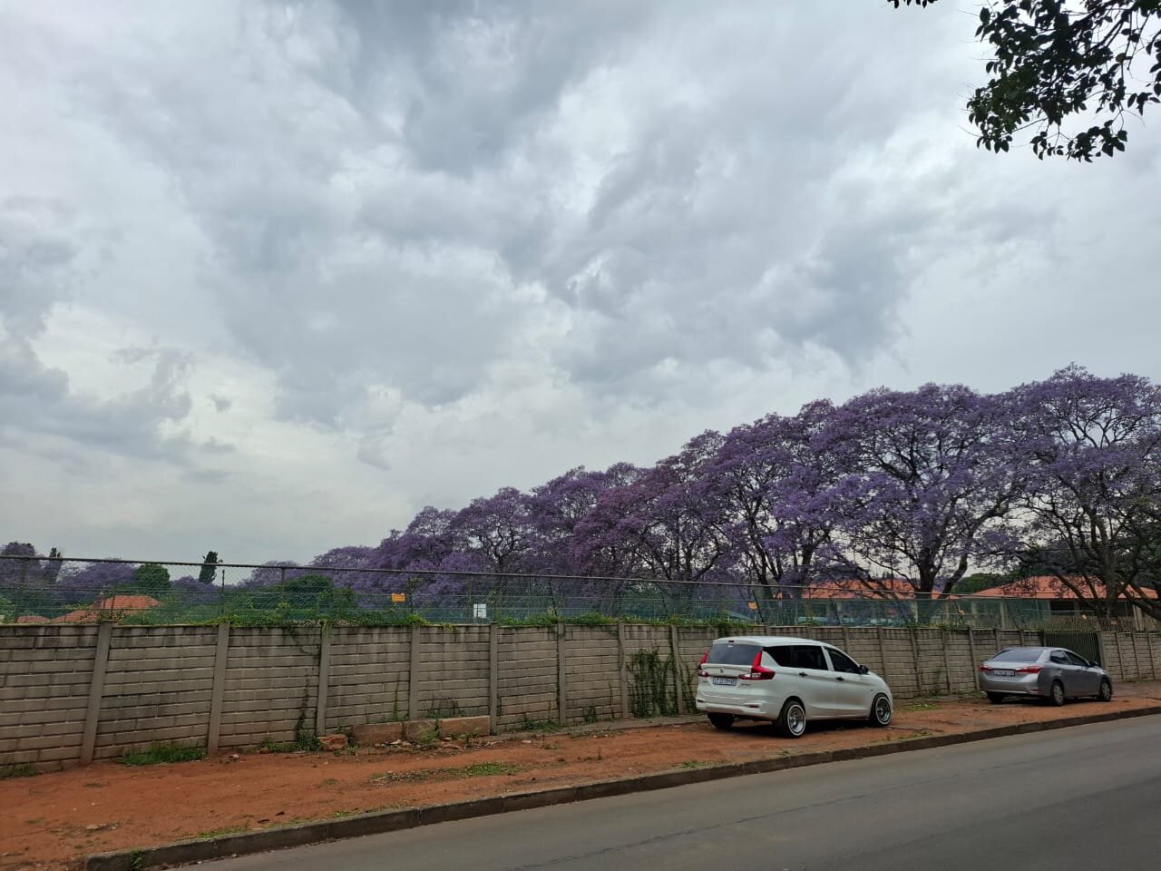 Hyatt House Johannesburg Rosebank-浴室