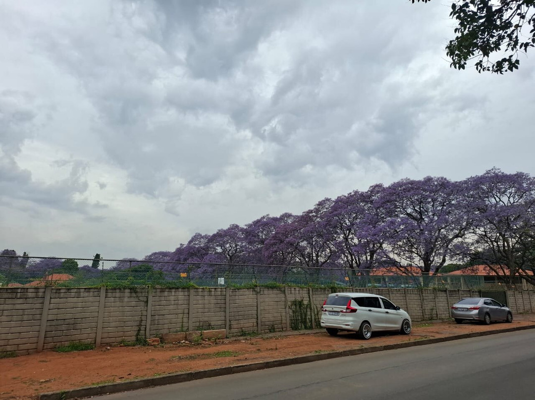 Hyatt House Johannesburg Rosebank主图