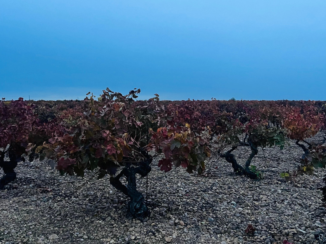 Pago de Trascasas主图