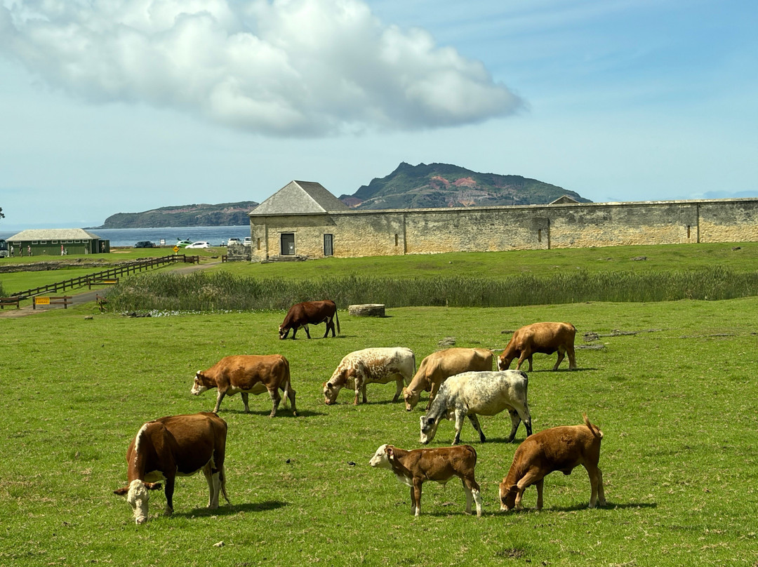 Great Value Holidays-凯恩斯必去景点