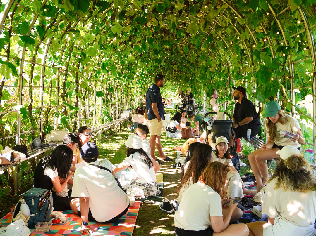 Lulu Island Winery-里士满必去景点