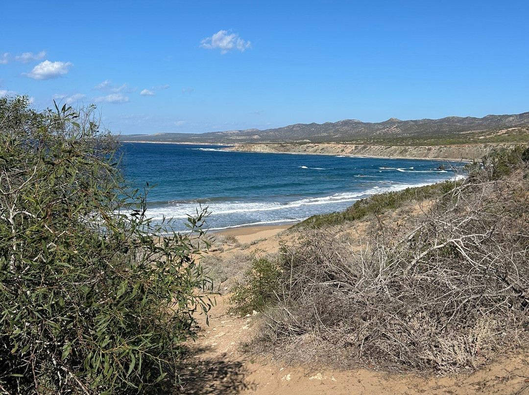 Petrides Rentals-Latchi必去景点