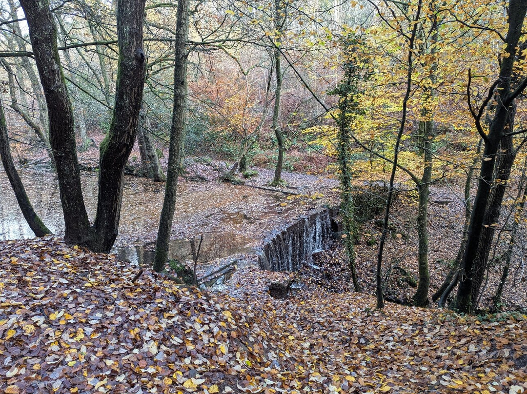 Dimmingsdale-奥尔顿必去景点