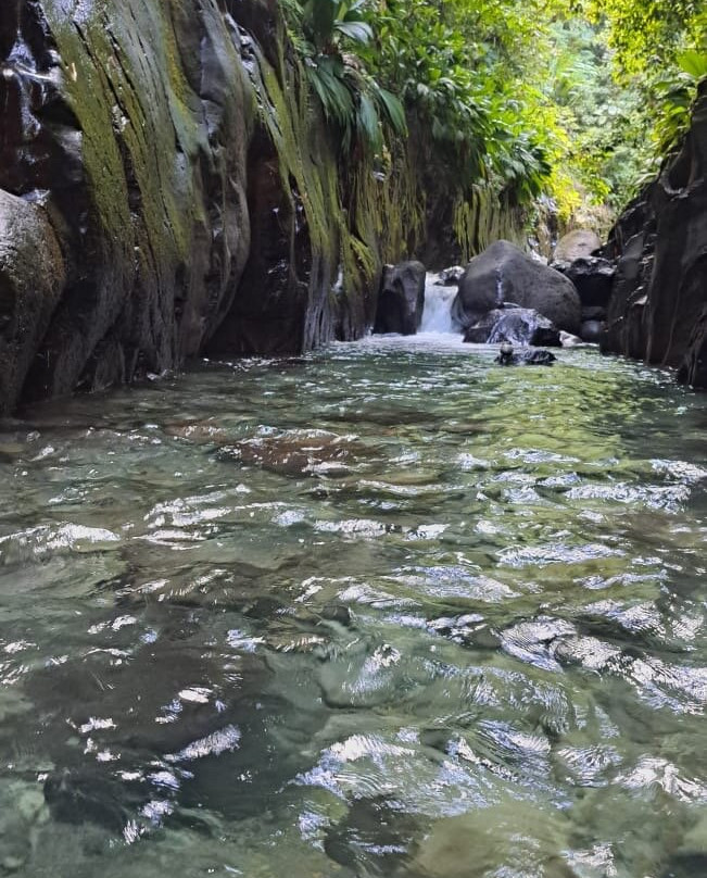 Canyon Moustique-Petit-Bourg必去景点