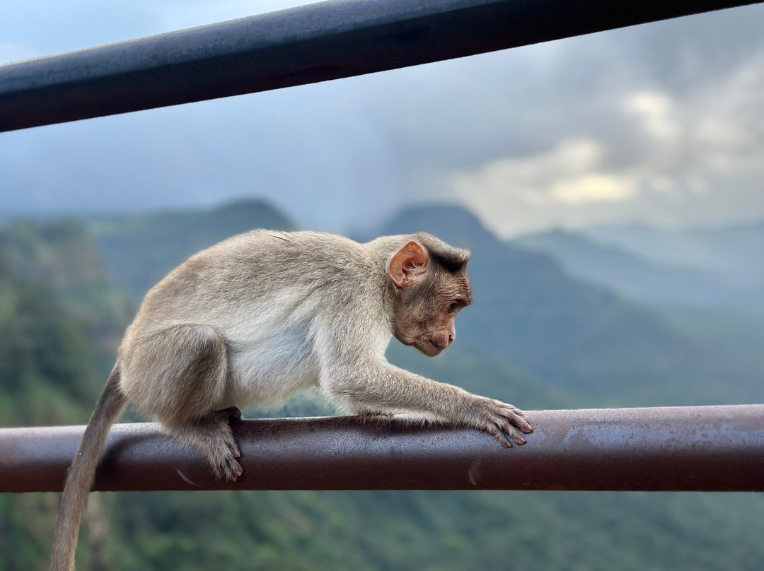 Amboli Water Falls-Amboli必去景点
