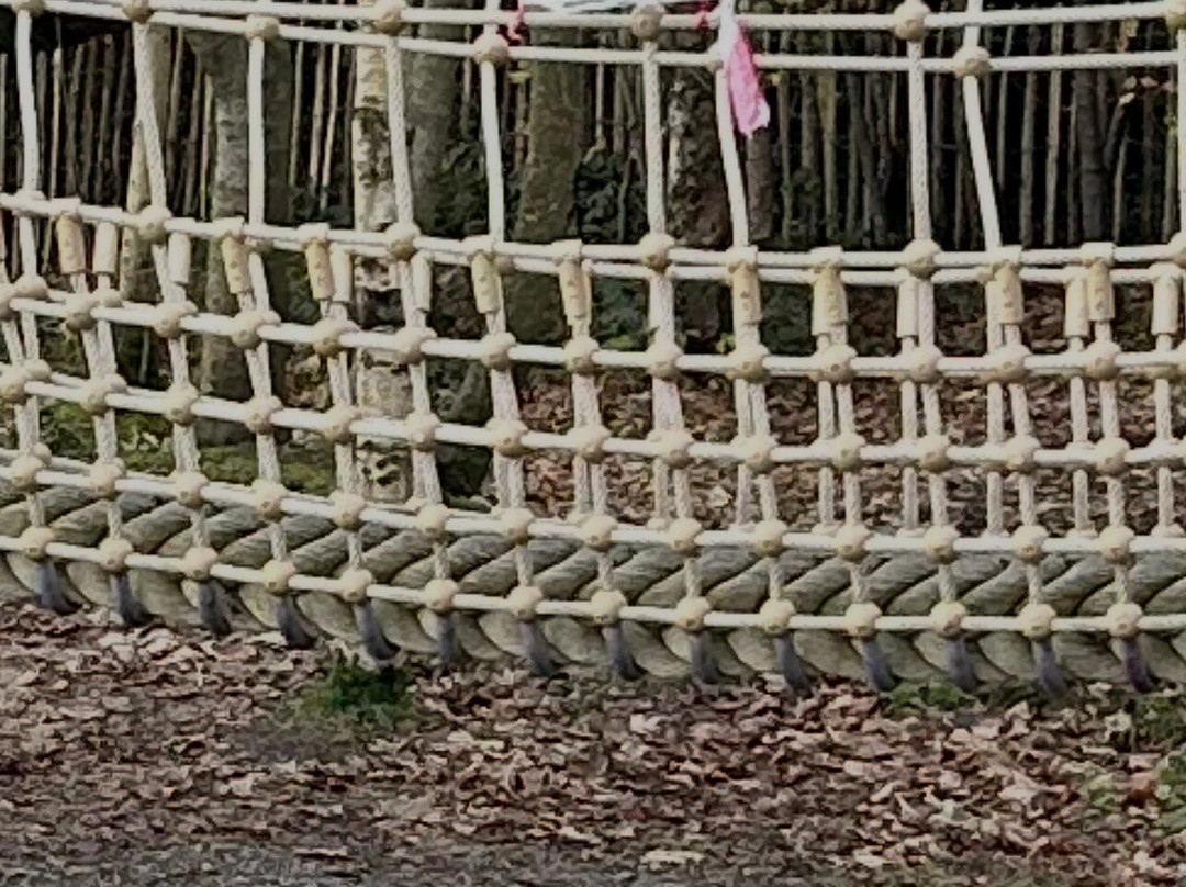 Castlewellan Forest Park-Castlewellan必去景点