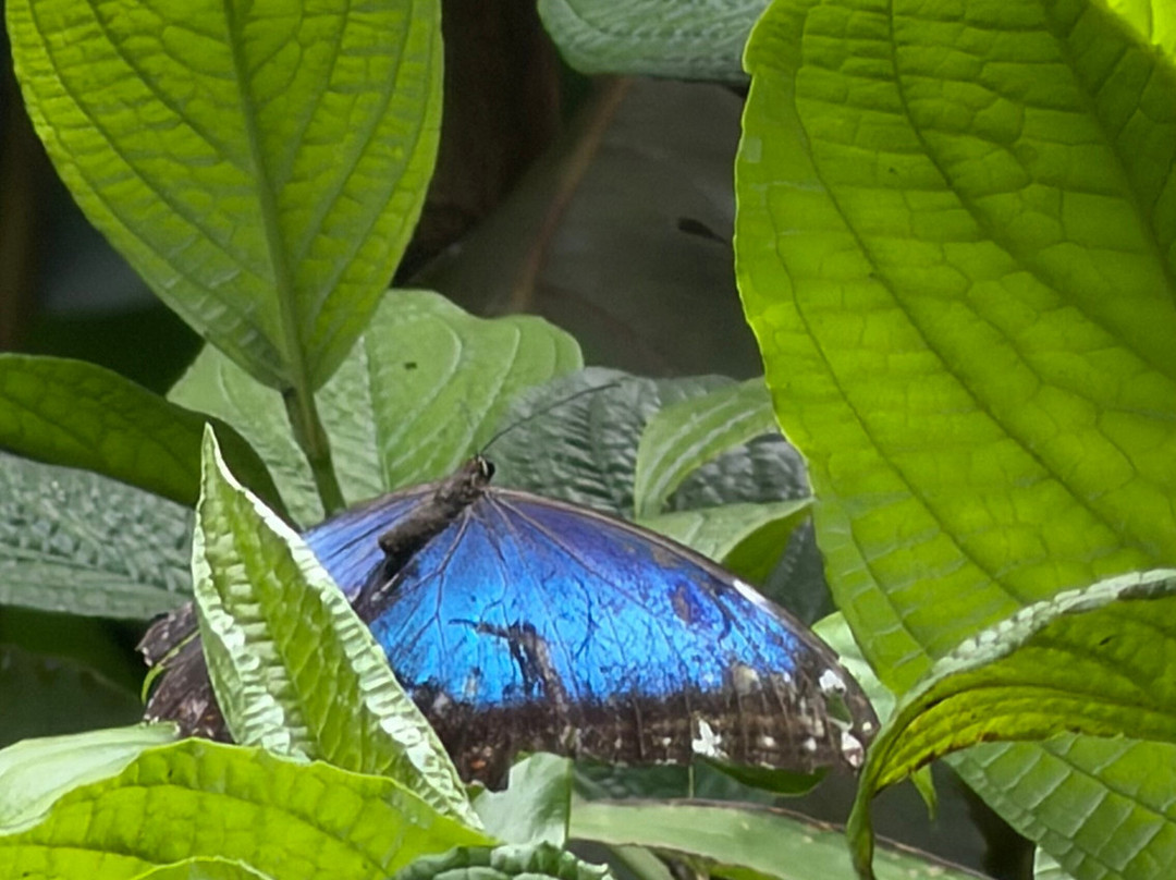 Woodpecker Educational Tours-Canas必去景点