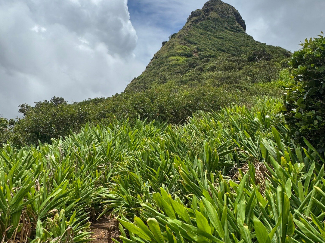 Le Pouce-路易士港必去景点
