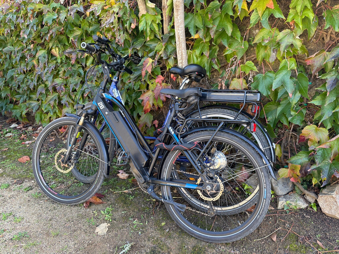 Bouquet d'Alella-Alella必去景点