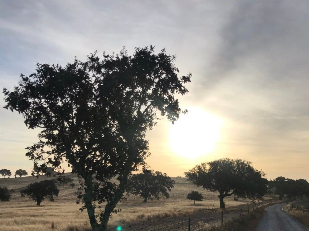 Monte da Ameixa Country House主图